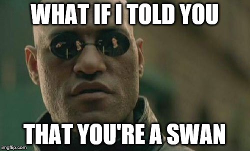 Matrix Morpheus Meme | WHAT IF I TOLD YOU THAT YOU'RE A SWAN | image tagged in memes,matrix morpheus | made w/ Imgflip meme maker