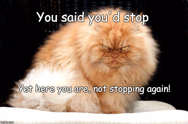 You said you'd stop; Yet here you are, not stopping again! | image tagged in stop,enough,funny memes | made w/ Imgflip meme maker