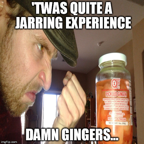 'TWAS QUITE A JARRING EXPERIENCE; DAMN GINGERS... | image tagged in damn gingers | made w/ Imgflip meme maker
