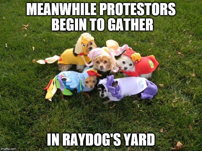 MEANWHILE PROTESTORS BEGIN TO GATHER IN RAYDOG'S YARD | made w/ Imgflip meme maker