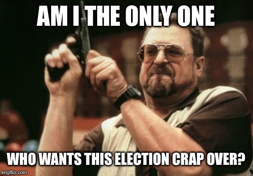 Am I The Only One Around Here Meme |  AM I THE ONLY ONE; WHO WANTS THIS ELECTION CRAP OVER? | image tagged in memes,am i the only one around here | made w/ Imgflip meme maker