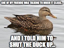 ONE OF MY FRIENDS WAS TALKING TO MUCH IT CLASS... AND I TOLD HIM TO SHUT THE DUCK UP... | image tagged in punny mother ducker | made w/ Imgflip meme maker