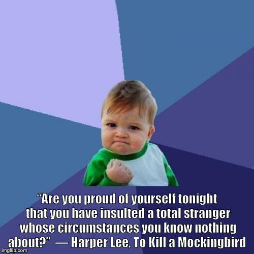 Success Kid Meme | “Are you proud of yourself tonight that you have insulted a total stranger whose circumstances you know nothing about?” 
― Harper Lee, To Kill a Mockingbird | image tagged in memes,success kid | made w/ Imgflip meme maker