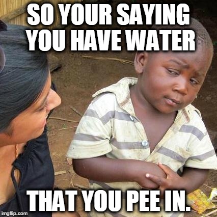Third World Skeptical Kid Meme | SO YOUR SAYING YOU HAVE WATER; THAT YOU PEE IN. | image tagged in memes,third world skeptical kid | made w/ Imgflip meme maker