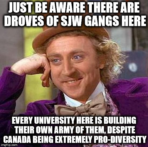 Creepy Condescending Wonka Meme | JUST BE AWARE THERE ARE DROVES OF SJW GANGS HERE EVERY UNIVERSITY HERE IS BUILDING THEIR OWN ARMY OF THEM, DESPITE CANADA BEING EXTREMELY PR | image tagged in memes,creepy condescending wonka | made w/ Imgflip meme maker