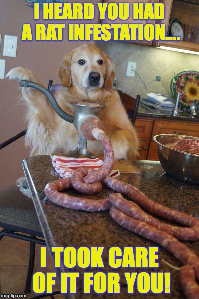 dog sausages | I HEARD YOU HAD A RAT INFESTATION…. I TOOK CARE OF IT FOR YOU! | image tagged in dog sausages | made w/ Imgflip meme maker