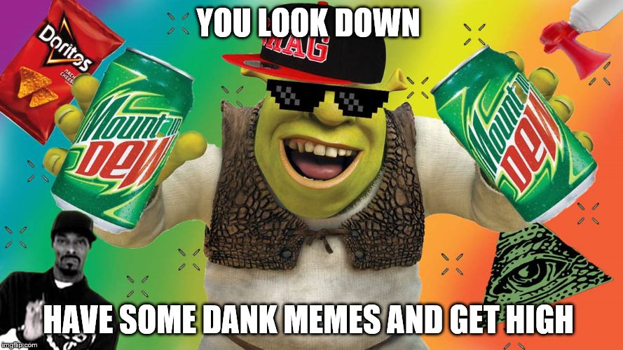 MLG Shrek | YOU LOOK DOWN; HAVE SOME DANK MEMES AND GET HIGH | image tagged in mlg shrek | made w/ Imgflip meme maker
