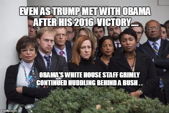 Old habits die hard..... | EVEN AS TRUMP MET WITH OBAMA AFTER HIS 2016  VICTORY.... OBAMA'S WHITE HOUSE STAFF GRIMLY CONTINUED HUDDLING BEHIND A BUSH . . | image tagged in trump wins,obama trump meeting,white house staff,behind a bush | made w/ Imgflip meme maker