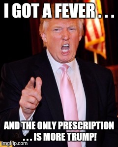Donald Trump | I GOT A FEVER . . . AND THE ONLY PRESCRIPTION . . . IS MORE TRUMP! | image tagged in donald trump | made w/ Imgflip meme maker