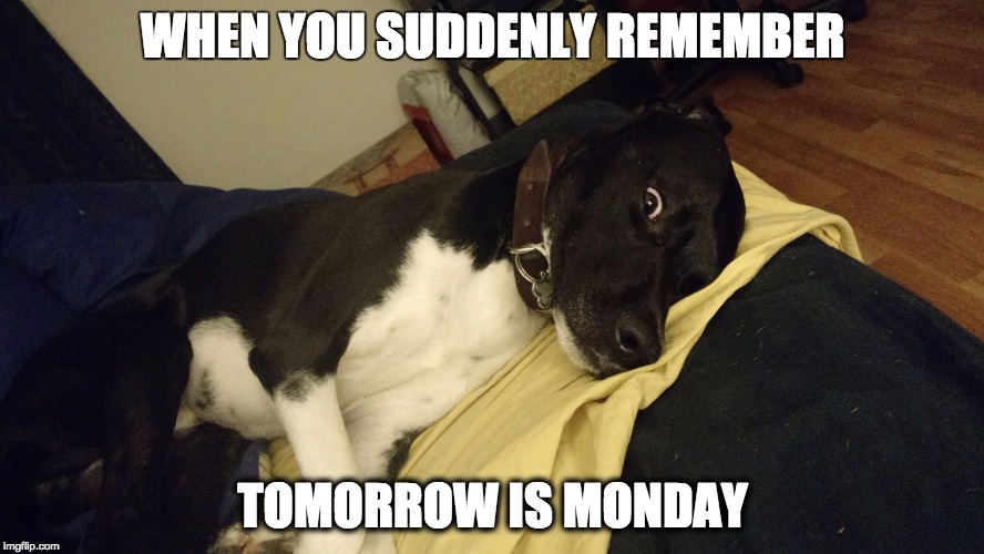 When you remember tomorrow is Monday again | WHEN YOU SUDDENLY REMEMBER; TOMORROW IS MONDAY | image tagged in mondays,monday,monday mornings,mondays its a trap,monday face,i hate mondays | made w/ Imgflip meme maker