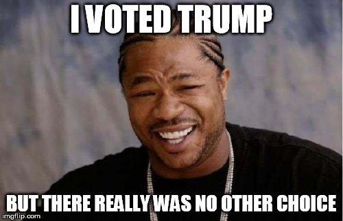 Yo Dawg Heard You Meme | I VOTED TRUMP BUT THERE REALLY WAS NO OTHER CHOICE | image tagged in memes,yo dawg heard you | made w/ Imgflip meme maker