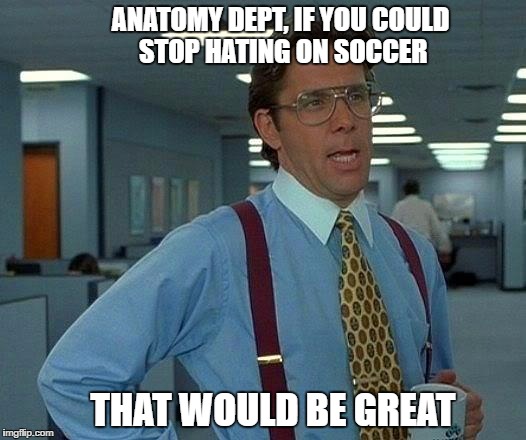 That Would Be Great Meme | ANATOMY DEPT, IF YOU COULD STOP HATING ON SOCCER; THAT WOULD BE GREAT | image tagged in memes,that would be great | made w/ Imgflip meme maker