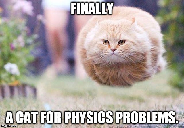Assume that a cat is a sphere... | FINALLY; A CAT FOR PHYSICS PROBLEMS. | image tagged in physics cat,sphere,physics,funny,cat | made w/ Imgflip meme maker