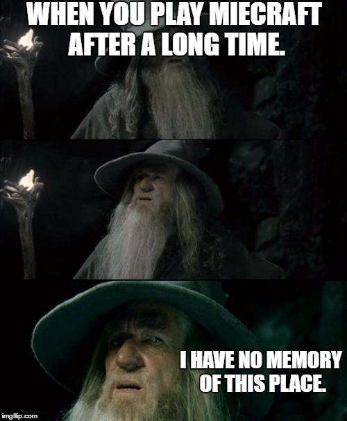 when u do | WHEN YOU PLAY MIECRAFT AFTER A LONG TIME. I HAVE NO MEMORY OF THIS PLACE. | image tagged in memes,confused gandalf | made w/ Imgflip meme maker