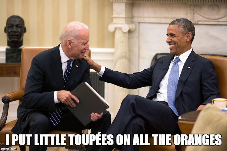I PUT LITTLE TOUPÉES ON ALL THE ORANGES | image tagged in obama biden,donald trump | made w/ Imgflip meme maker