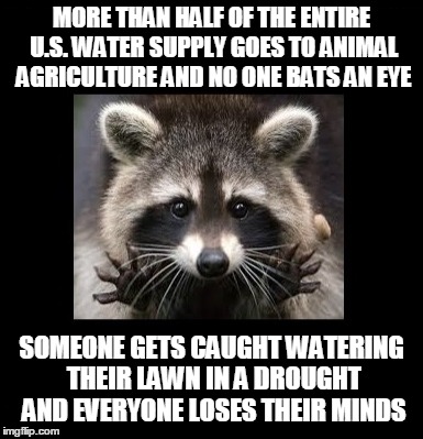 East Tennessee's getting hit pretty hard with a drought | MORE THAN HALF OF THE ENTIRE U.S. WATER SUPPLY GOES TO ANIMAL AGRICULTURE AND NO ONE BATS AN EYE; SOMEONE GETS CAUGHT WATERING THEIR LAWN IN A DROUGHT AND EVERYONE LOSES THEIR MINDS | image tagged in rain,drought | made w/ Imgflip meme maker