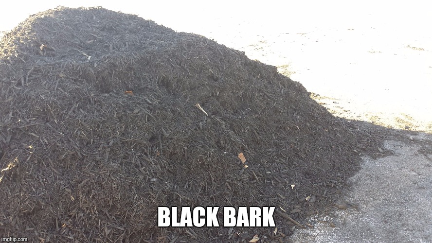 Black bart | BLACK BARK | image tagged in cowboys | made w/ Imgflip meme maker