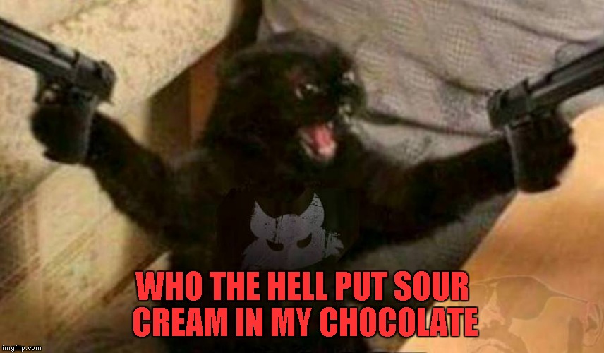 WHO THE HELL PUT SOUR CREAM IN MY CHOCOLATE | made w/ Imgflip meme maker