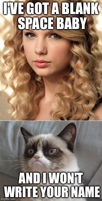 Grumpy Cat says "no" to Taylor Swift as NYC Global Welcome Ambas | I'VE GOT A BLANK SPACE BABY; AND I WON'T WRITE YOUR NAME | image tagged in grumpy cat says no to taylor swift as nyc global welcome ambas | made w/ Imgflip meme maker