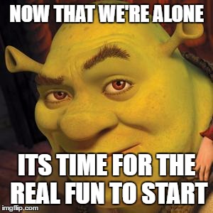 Shrek Sexy Face | NOW THAT WE'RE ALONE; ITS TIME FOR THE REAL FUN TO START | image tagged in shrek sexy face | made w/ Imgflip meme maker