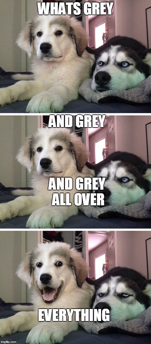 Upset Husky | WHATS GREY; AND GREY; AND GREY ALL OVER; EVERYTHING | image tagged in upset husky | made w/ Imgflip meme maker