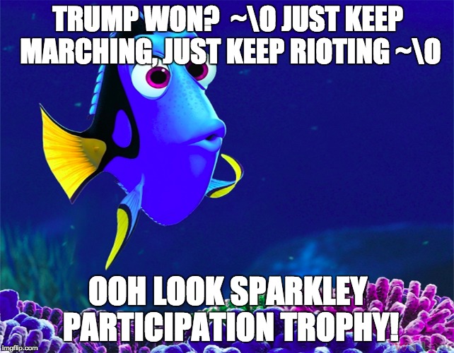 TRUMP WON?  ~\O JUST KEEP MARCHING, JUST KEEP RIOTING ~\O; OOH LOOK SPARKLEY PARTICIPATION TROPHY! | made w/ Imgflip meme maker