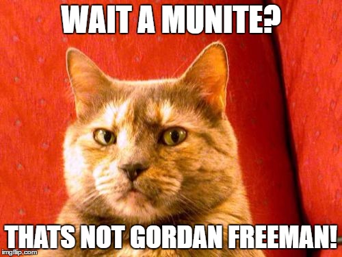 yet another half life meme | WAIT A MUNITE? THATS NOT GORDAN FREEMAN! | image tagged in memes,suspicious cat | made w/ Imgflip meme maker