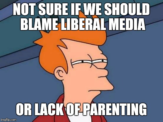 Futurama Fry Meme | NOT SURE IF WE SHOULD BLAME LIBERAL MEDIA OR LACK OF PARENTING | image tagged in memes,futurama fry | made w/ Imgflip meme maker