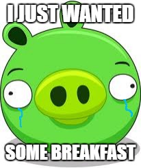 raise awareness of pig abuse | I JUST WANTED; SOME BREAKFAST | image tagged in memes,angry birds pig | made w/ Imgflip meme maker