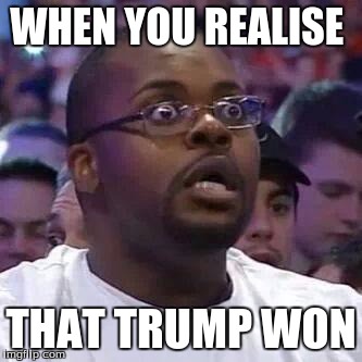 The New Face of the WWE after Wrestlemania 30 | WHEN YOU REALISE; THAT TRUMP WON | image tagged in the new face of the wwe after wrestlemania 30 | made w/ Imgflip meme maker