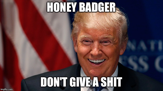"NOT MY PRESIDENT!" | HONEY BADGER; DON'T GIVE A SHIT | image tagged in laughing donald trump | made w/ Imgflip meme maker
