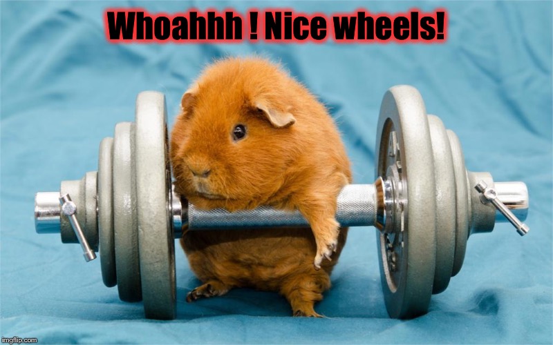 Whoahhh ! Nice wheels! | made w/ Imgflip meme maker