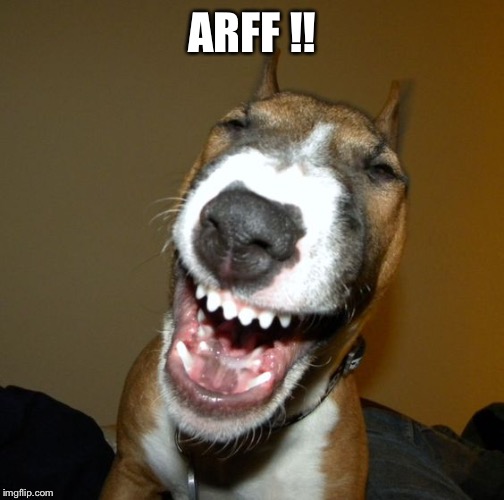 Laughing dog | ARFF !! | image tagged in laughing dog | made w/ Imgflip meme maker