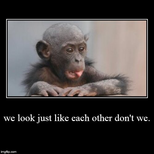 Don't you think me and you look just alike. | image tagged in funny,demotivationals | made w/ Imgflip demotivational maker