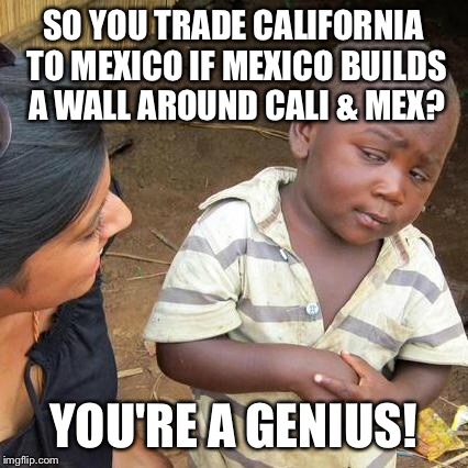 Third World Skeptical Kid Meme | SO YOU TRADE CALIFORNIA TO MEXICO IF MEXICO BUILDS A WALL AROUND CALI & MEX? YOU'RE A GENIUS! | image tagged in memes,third world skeptical kid | made w/ Imgflip meme maker