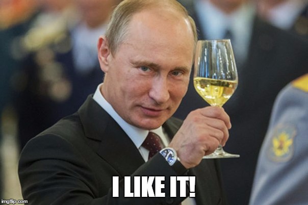Putin Cheers | I LIKE IT! | image tagged in putin cheers | made w/ Imgflip meme maker