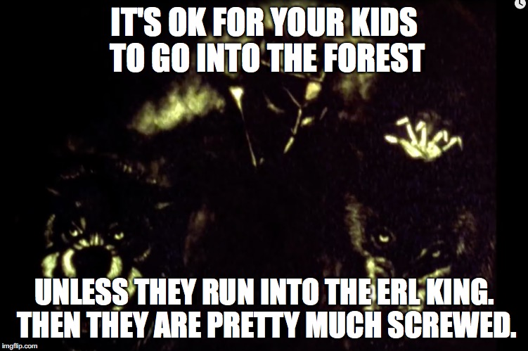 IT'S OK FOR YOUR KIDS TO GO INTO THE FOREST; UNLESS THEY RUN INTO THE ERL KING. THEN THEY ARE PRETTY MUCH SCREWED. | image tagged in play,playwork,outdoor play nature,nature | made w/ Imgflip meme maker