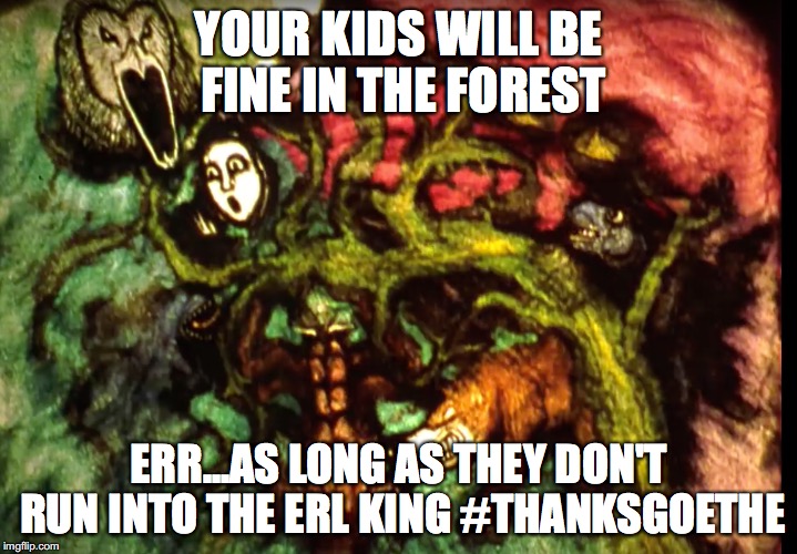 YOUR KIDS WILL BE FINE IN THE FOREST; ERR...AS LONG AS THEY DON'T RUN INTO THE ERL KING #THANKSGOETHE | image tagged in play,forest,playwork,nature,goethe | made w/ Imgflip meme maker