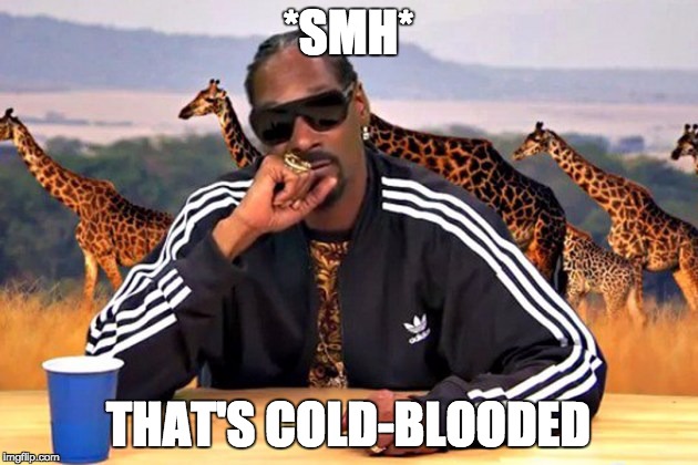 *SMH*; THAT'S COLD-BLOODED | image tagged in snoop dogg cold blooded | made w/ Imgflip meme maker