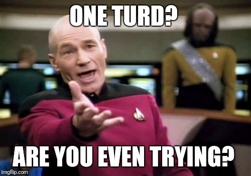 Picard Wtf Meme | ONE TURD? ARE YOU EVEN TRYING? | image tagged in memes,picard wtf | made w/ Imgflip meme maker