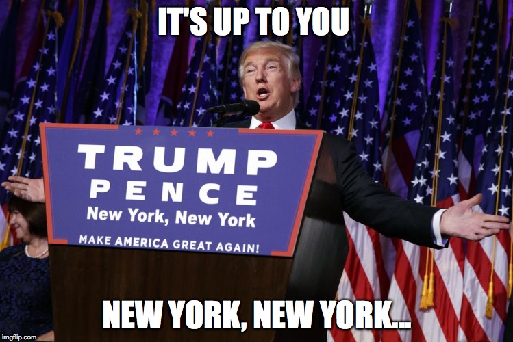 IT'S UP TO YOU; NEW YORK, NEW YORK... | image tagged in trump,song | made w/ Imgflip meme maker