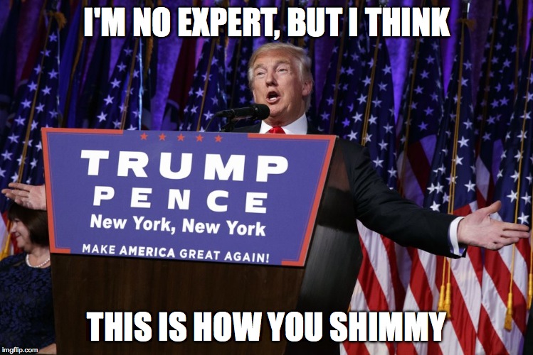 I'M NO EXPERT, BUT I THINK; THIS IS HOW YOU SHIMMY | image tagged in trump,shimmy,donald trump | made w/ Imgflip meme maker
