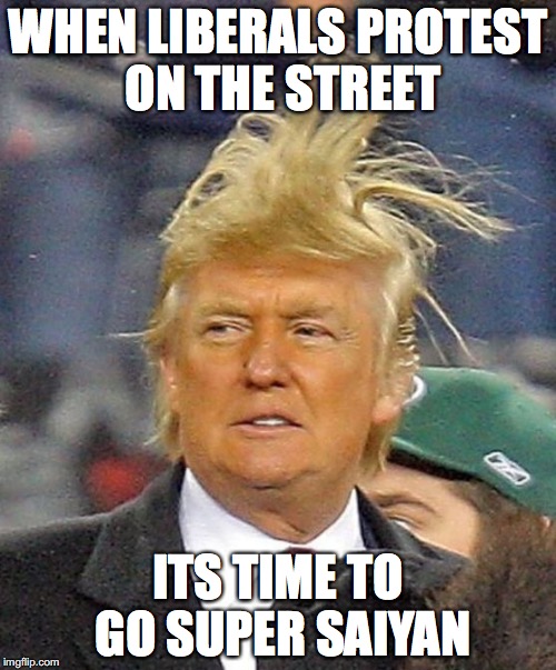 trump goes super saiyan because of liberals | WHEN LIBERALS PROTEST ON THE STREET; ITS TIME TO GO SUPER SAIYAN | image tagged in donald trumph hair | made w/ Imgflip meme maker