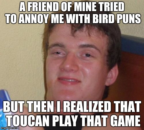 10 Guy | A FRIEND OF MINE TRIED TO ANNOY ME WITH BIRD PUNS; BUT THEN I REALIZED THAT TOUCAN PLAY THAT GAME | image tagged in memes,10 guy | made w/ Imgflip meme maker