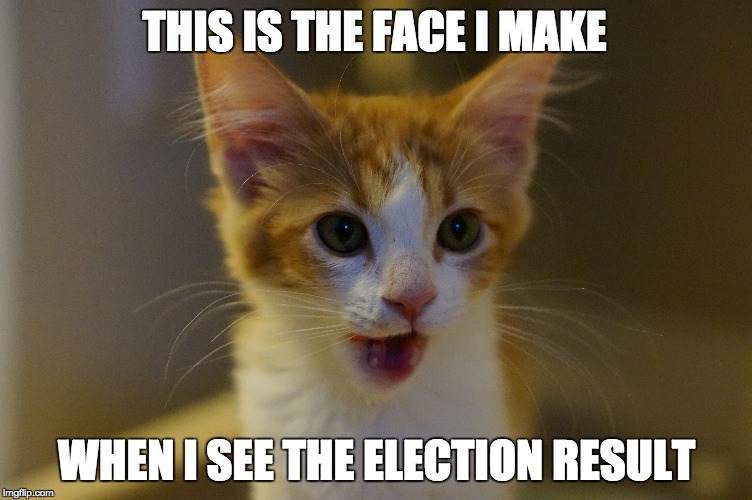 THIS IS THE FACE I MAKE; WHEN I SEE THE ELECTION RESULT | image tagged in election 2016,cats,surprised,kitten | made w/ Imgflip meme maker