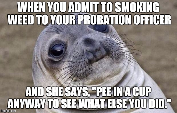 Awkward Moment Sealion | WHEN YOU ADMIT TO SMOKING WEED TO YOUR PROBATION OFFICER; AND SHE SAYS, "PEE IN A CUP ANYWAY TO SEE WHAT ELSE YOU DID." | image tagged in memes,awkward moment sealion | made w/ Imgflip meme maker