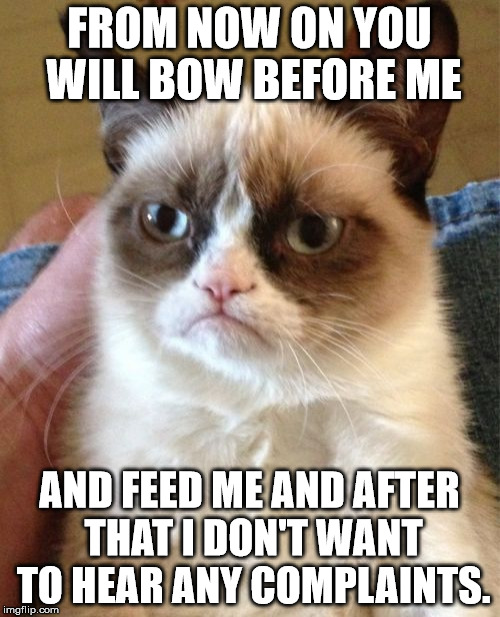 Grumpy Cat Meme | FROM NOW ON YOU WILL BOW BEFORE ME AND FEED ME AND AFTER THAT I DON'T WANT TO HEAR ANY COMPLAINTS. | image tagged in memes,grumpy cat | made w/ Imgflip meme maker
