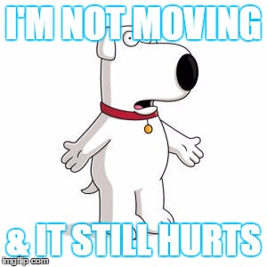 Family Guy Brian Meme | I'M NOT MOVING; & IT STILL HURTS | image tagged in memes,family guy brian | made w/ Imgflip meme maker