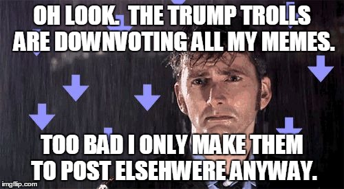 It's Raining Downvotes |  OH LOOK.  THE TRUMP TROLLS ARE DOWNVOTING ALL MY MEMES. TOO BAD I ONLY MAKE THEM TO POST ELSEHWERE ANYWAY. | image tagged in it's raining downvotes | made w/ Imgflip meme maker