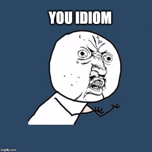Y U No | YOU IDIOM | image tagged in memes,y u no | made w/ Imgflip meme maker